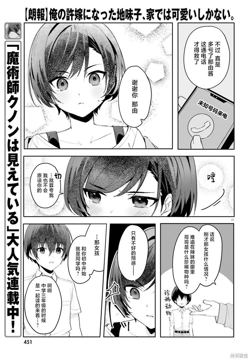 第17页