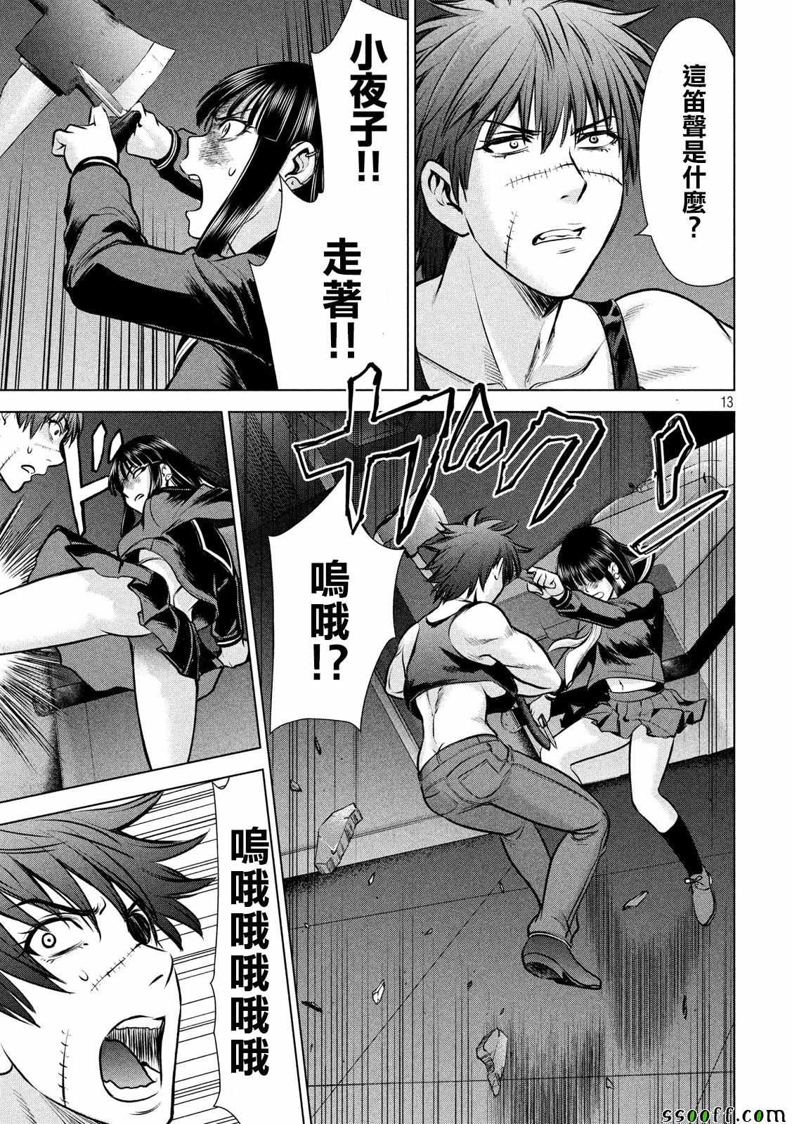 第13页