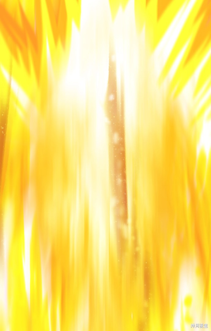 第229页