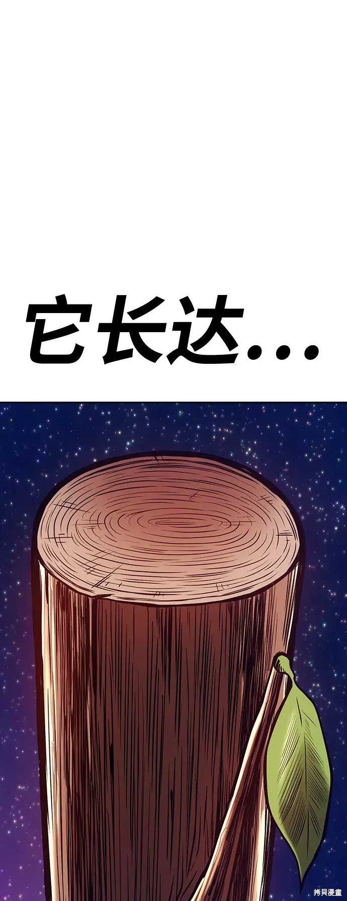 第242页
